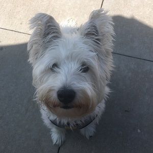 Meet your Posher, Nora